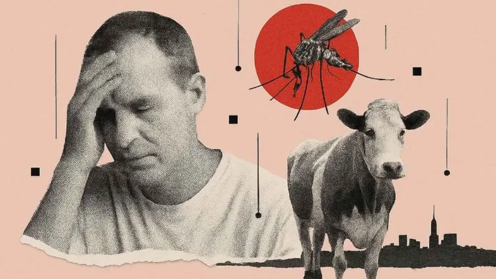 Shamonda-virus ihmisessä Ranskassa vahvistettu tapaus