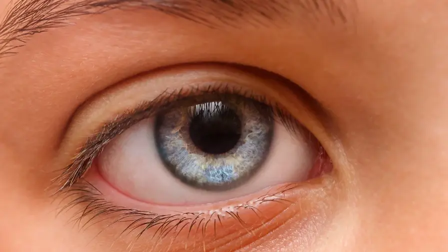Pupilidynamiikka ja tarkkaavaisuuden vaihtelut ADHD-lapsilla